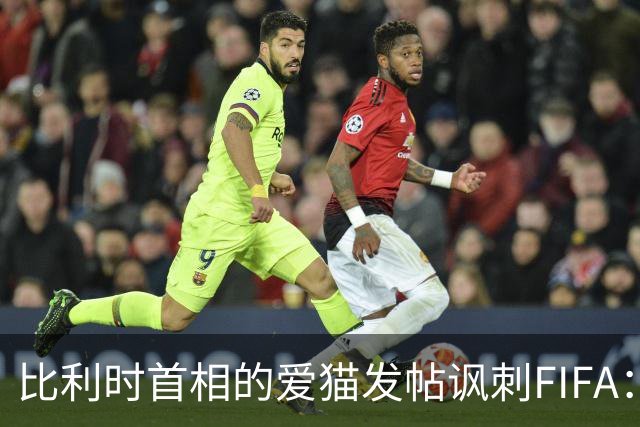 比利时首相的爱猫发帖讽刺FIFA：“红牌？”我照样继续踢！