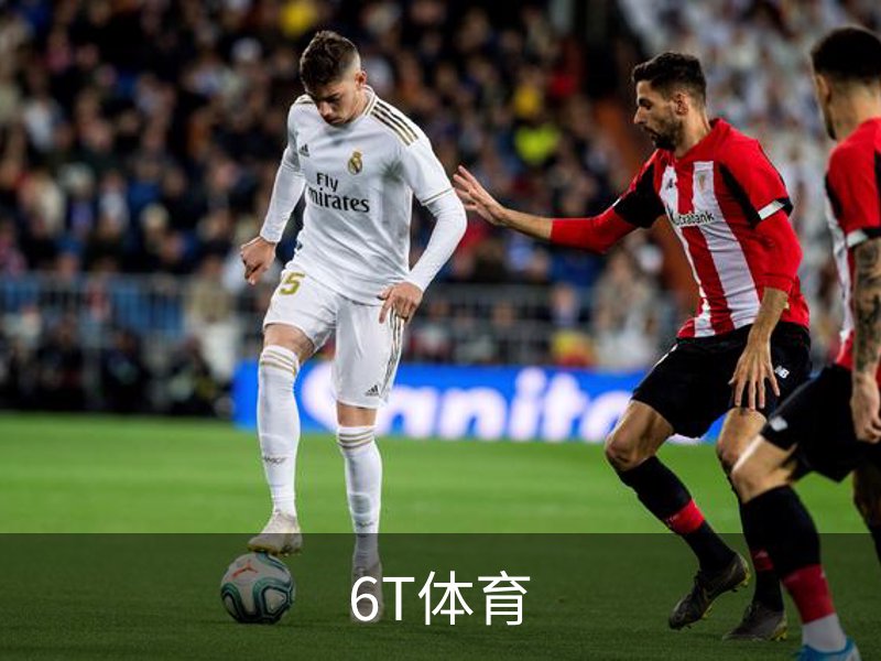 了解6T体育